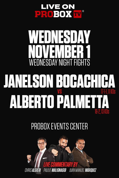 Movie poster for Janelson Bocachica vs. Alberto Palmetta (2023)