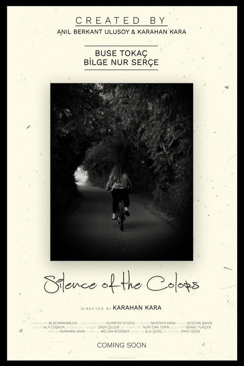 Movie poster for Silence of the Colors
