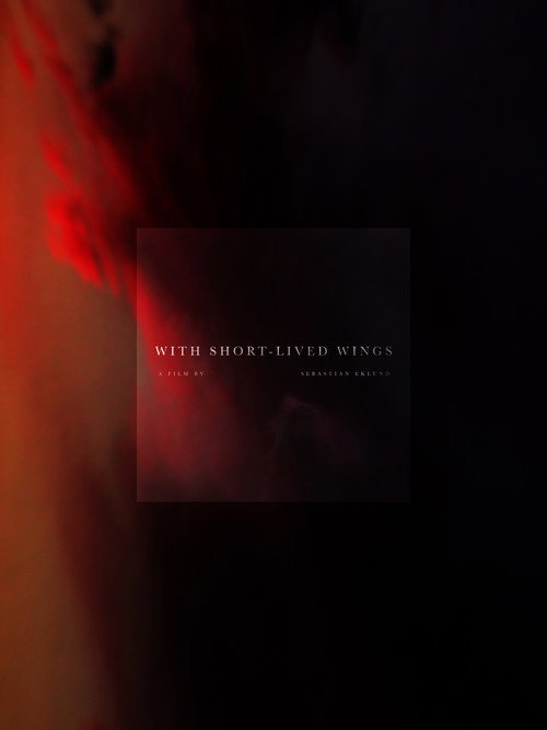 With Short-Lived Wings poster