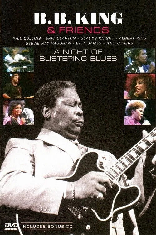 Movie poster for B.B. King & Friends (1987)