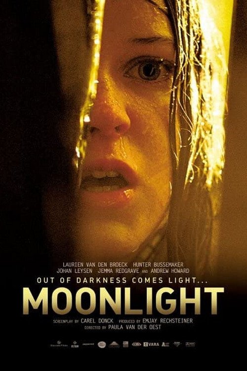 Movie poster for Moonlight (2002)