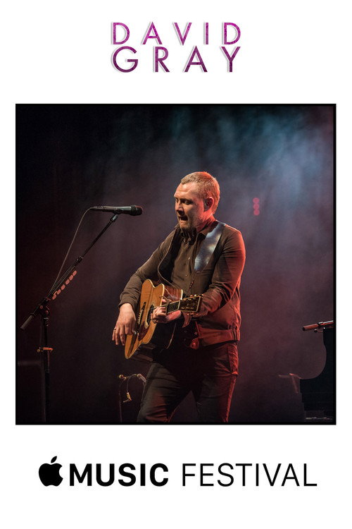 Movie poster for David Gray - iTunes Music Festival London (2014)