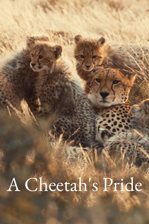 Series poster for A Cheetah's Pride (2024)