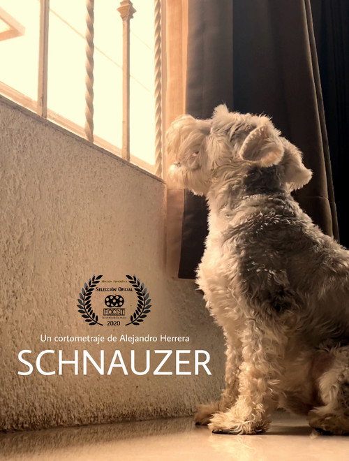 Movie poster for Schnauzer (2020)