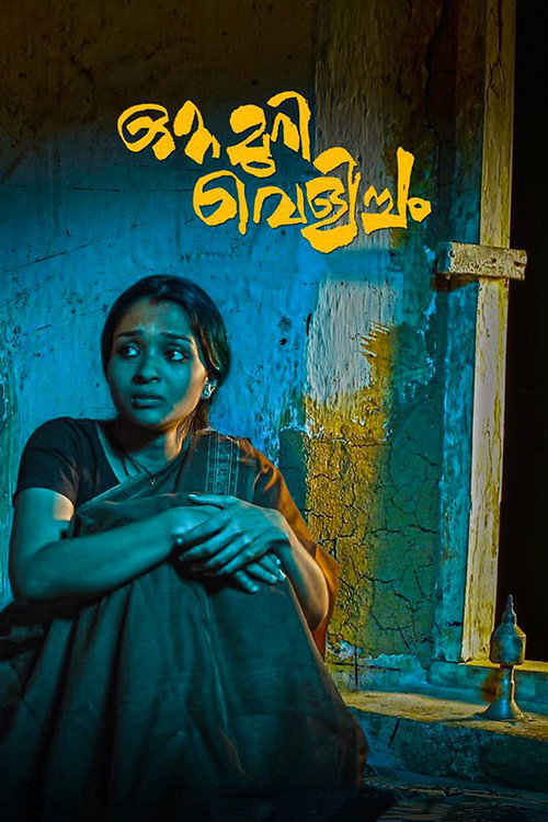 Movie poster for Ottamuri Velicham (2017)