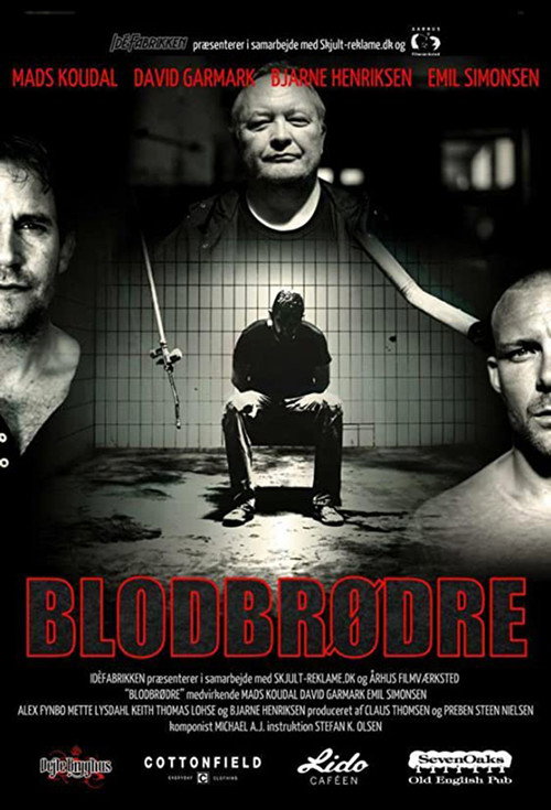 Movie poster for Blodbrødre (2013)