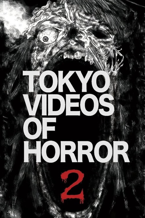 Movie poster for Tokyo Videos of Horror 2 (2012)