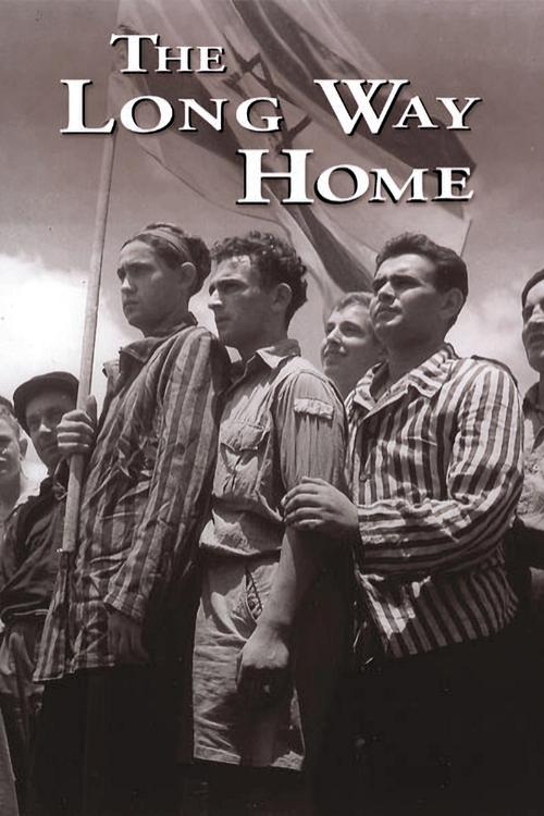 Movie poster for The Long Way Home (1997)