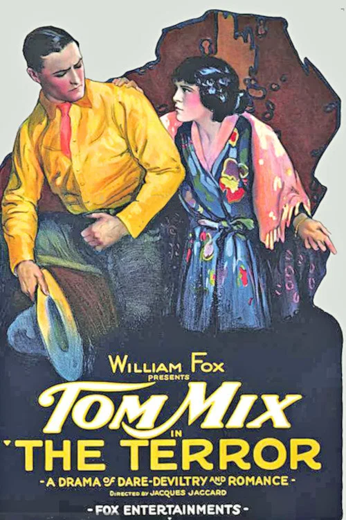 Movie poster for The Terror (1920)