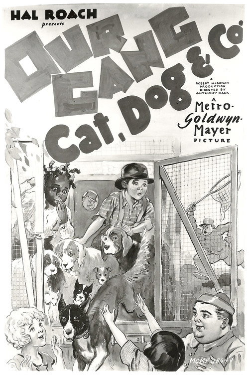 Movie poster for Cat, Dog & Co. (1929)