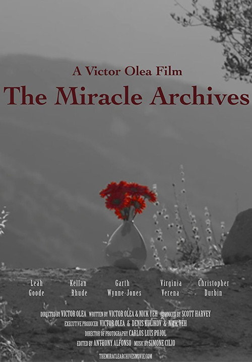 Movie poster for The Miracle Archives (2015)