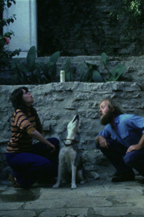 Movie poster for Sleeping Dogs (Never Lie) (1978)