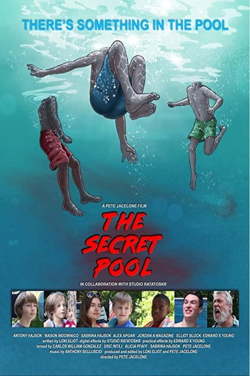 Movie poster for The Secret Pool (2021)