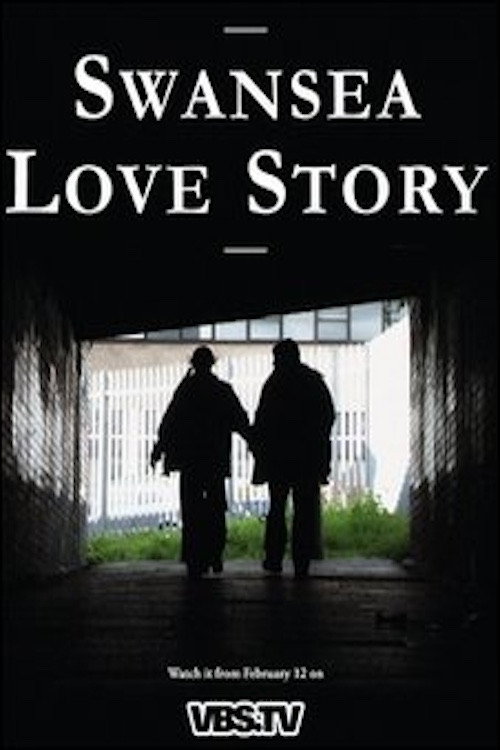 Movie poster for Swansea Love Story (2010)
