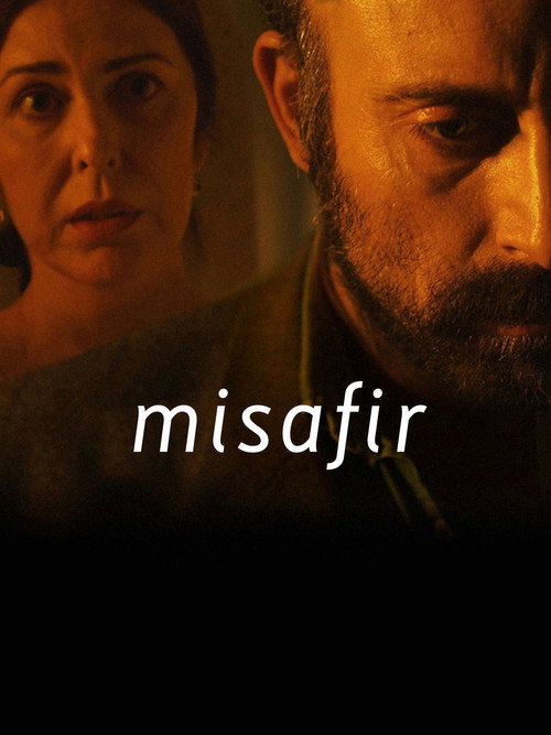 Movie poster for Misafir (2011)