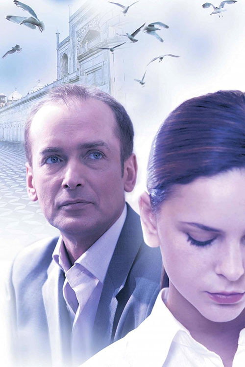 Movie poster for The Stepfather (2007)
