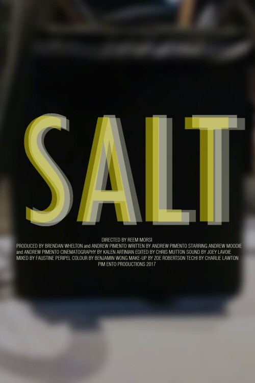 Movie poster for Salt (2017)