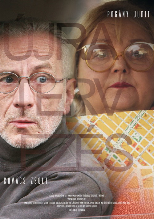 Movie poster for My Guide (2013)