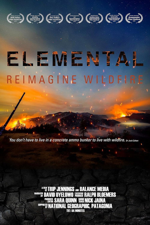 Movie poster for Elemental: Reimagine Wildfire (2022)