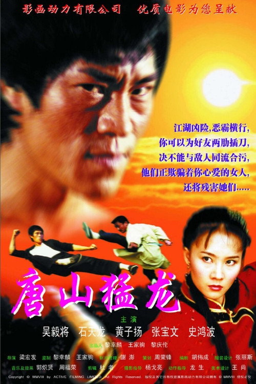 Movie poster for Dragon the Master 2 (2002)