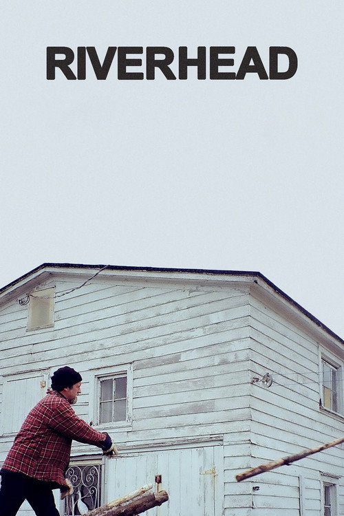 Movie poster for Riverhead (2016)