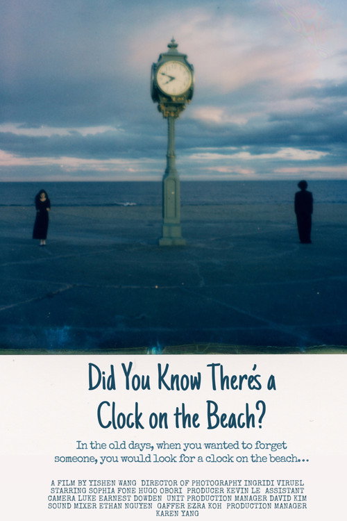 Movie poster for Did You Know There's a Clock on the Beach?
