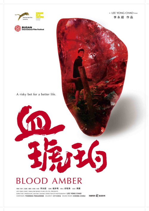 Movie poster for Blood Amber (2017)