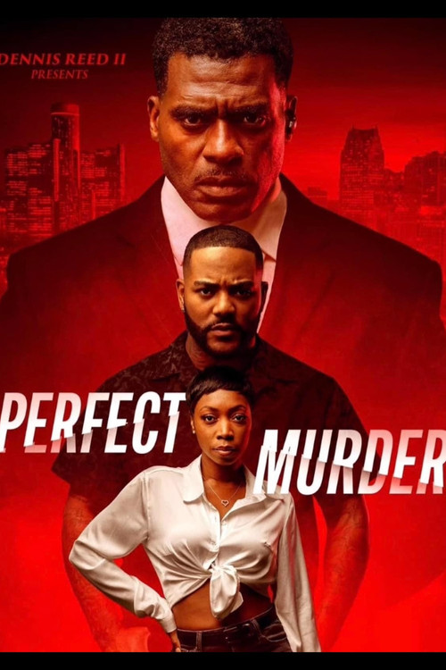 Movie poster for Perfect Murder (2024)