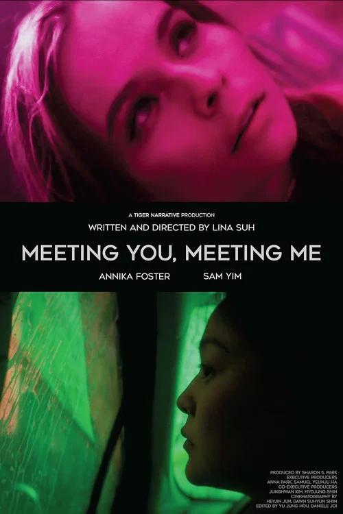 Movie poster for Meeting You, Meeting Me (2024)