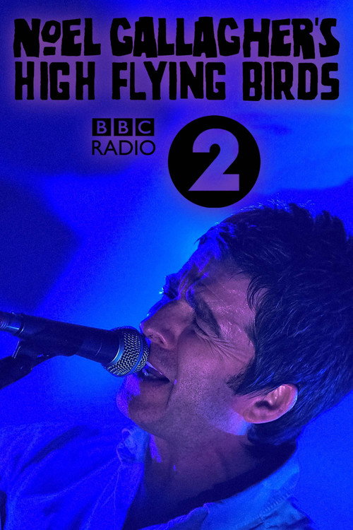 Movie poster for Noel Gallagher's High Flying Birds: Live at BBC Radio Theatre (2011)