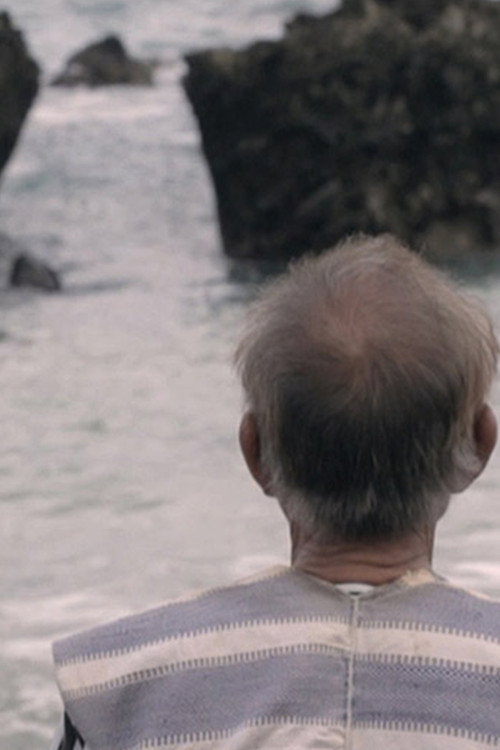 Movie poster for Lanyu — Three Stories (2013)