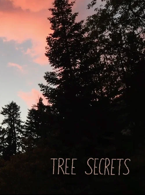 Movie poster for Tree Secrets