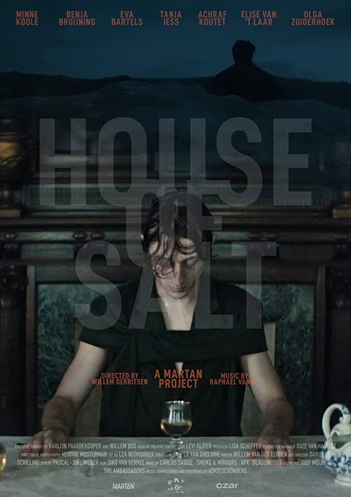 Movie poster for House of Salt (2019)