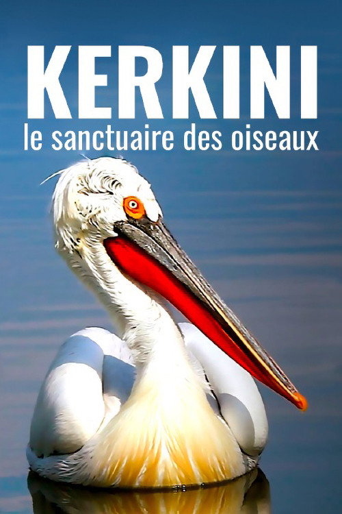 Movie poster for Kerkini: The Bird Sanctuary (2021)