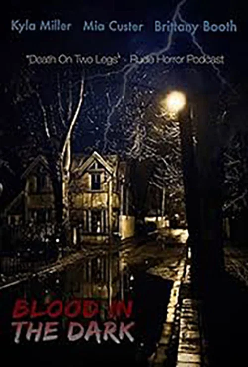 Movie poster for Blood in the Dark (2021)