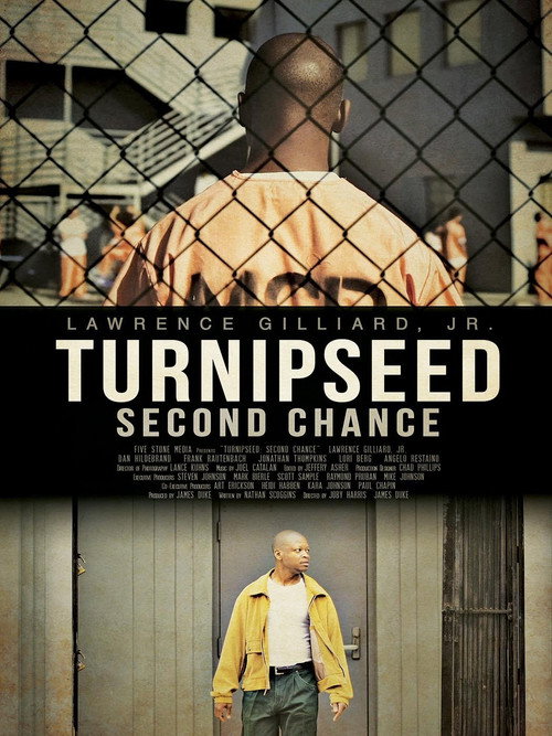 Movie poster for Turnipseed: Second Chance (2013)