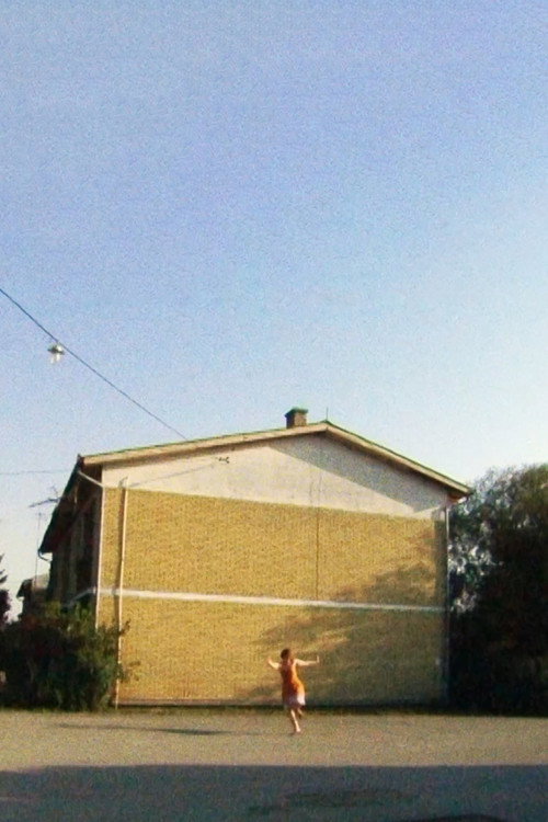 Movie poster for Sunlit (2026)