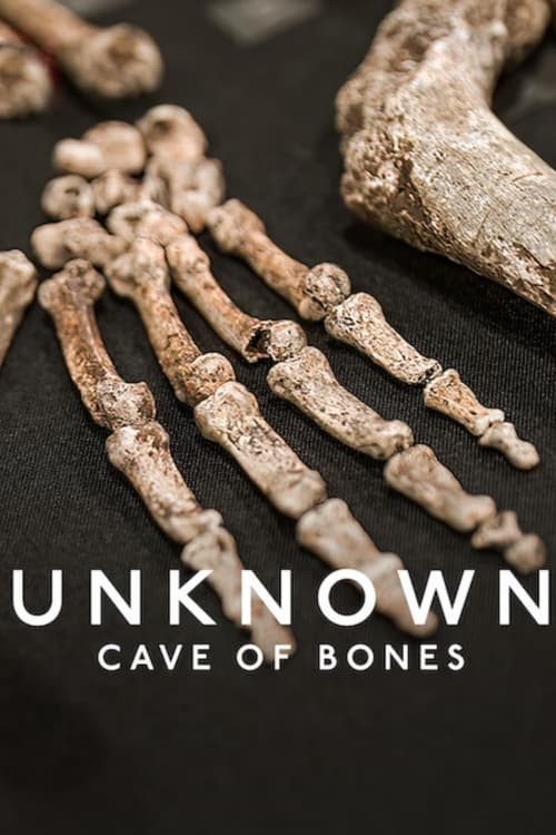 Movie poster for Unknown: Cave of Bones (2023)