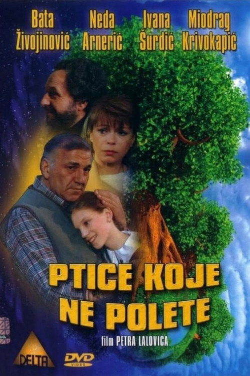 Movie poster for Some Birds Can't Fly (1997)