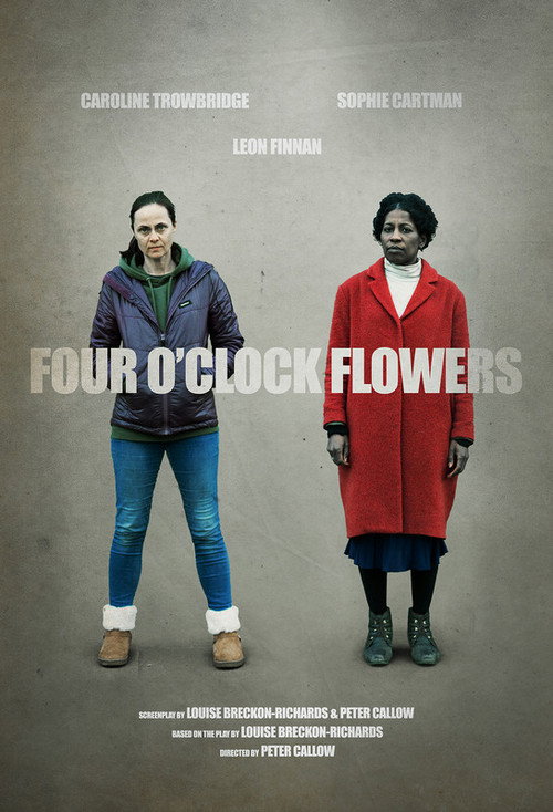 Movie poster for Four O'Clock Flowers