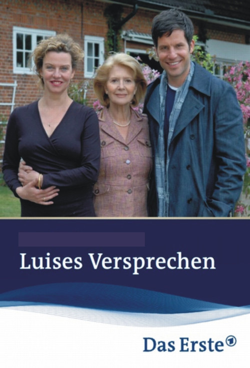 Movie poster for Luises Versprechen (2010)