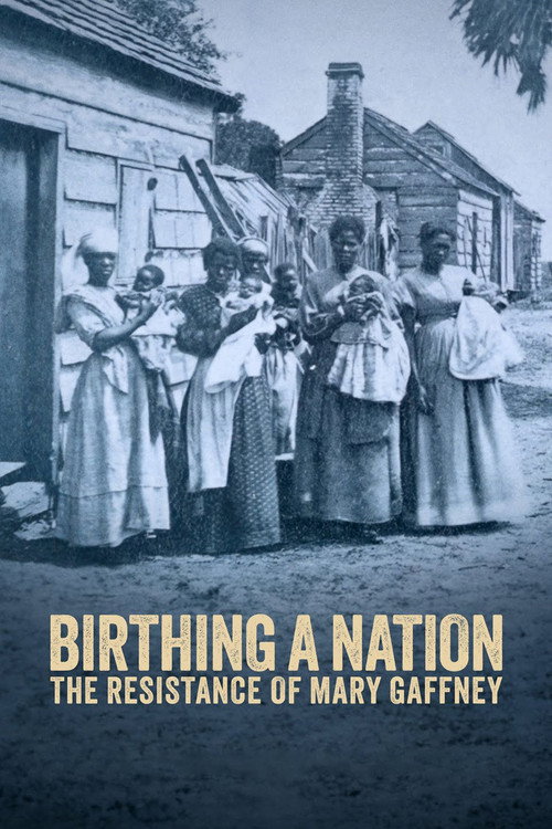 Movie poster for Birthing a Nation: The Resistance of Mary Gaffney (2023)