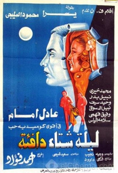 Movie poster for A Warm Winter Night (1981)