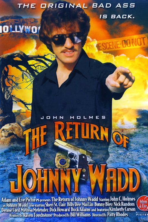 Movie poster for The Return of Johnny Wadd (1986)