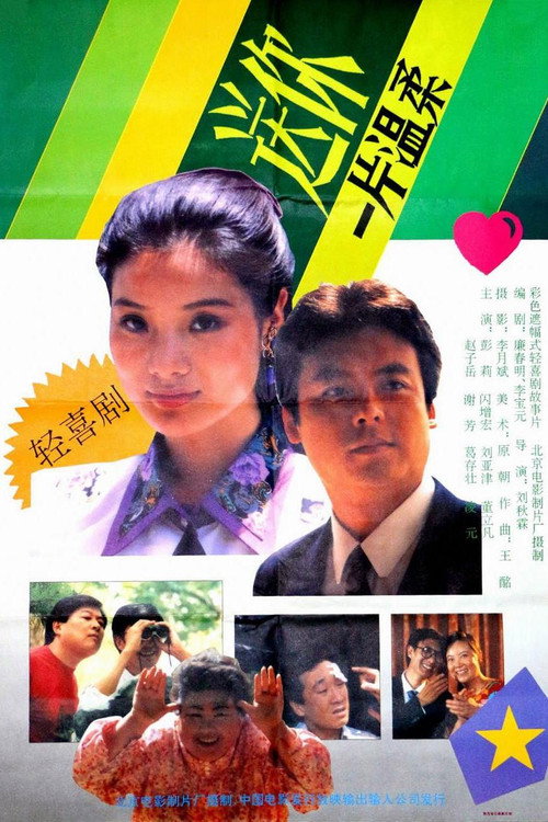 Movie poster for 送你一片温柔 (1992)