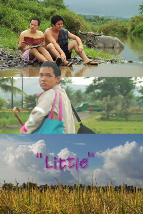 Movie poster for Little (2009)