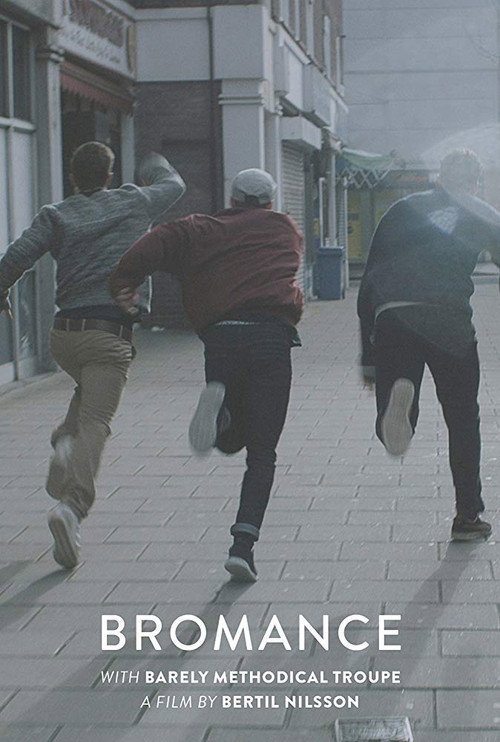 Movie poster for Bromance (2015)