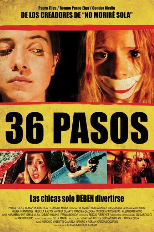Movie poster for 36 Steps (2006)