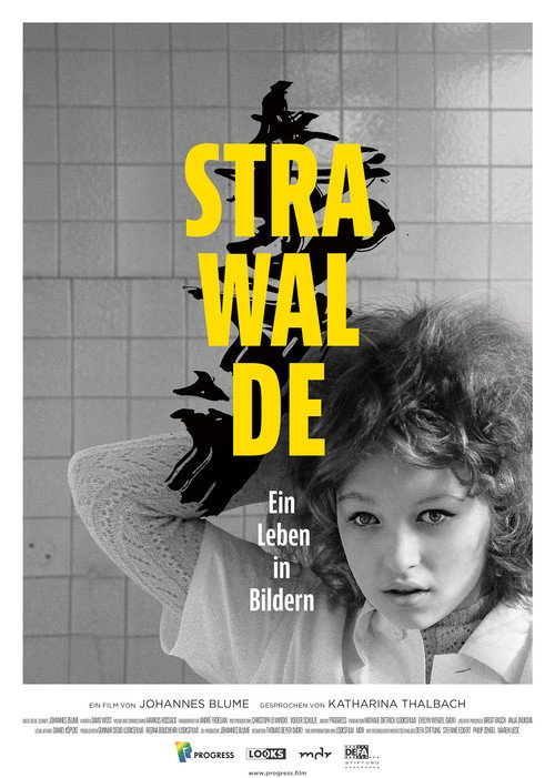 Movie poster for Strawalde - Ein Leben in Bildern (2021)