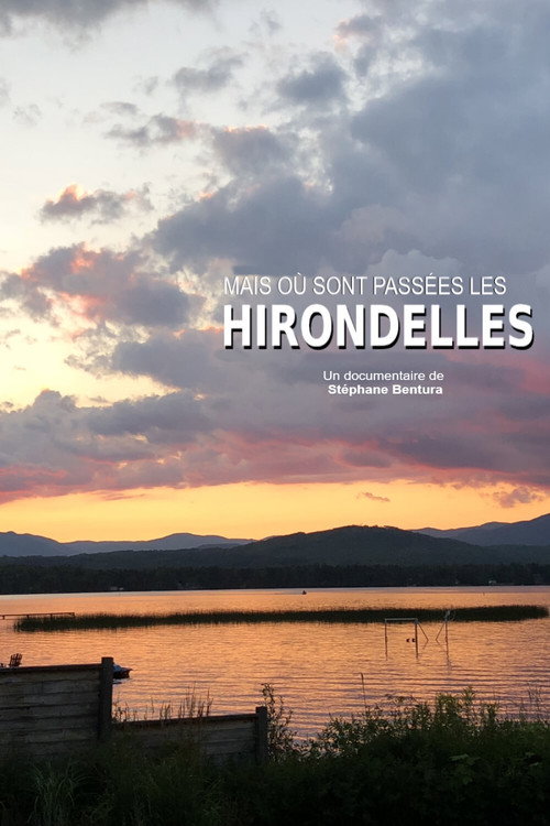 Movie poster for Où sont passées les hirondelles ? (2020)